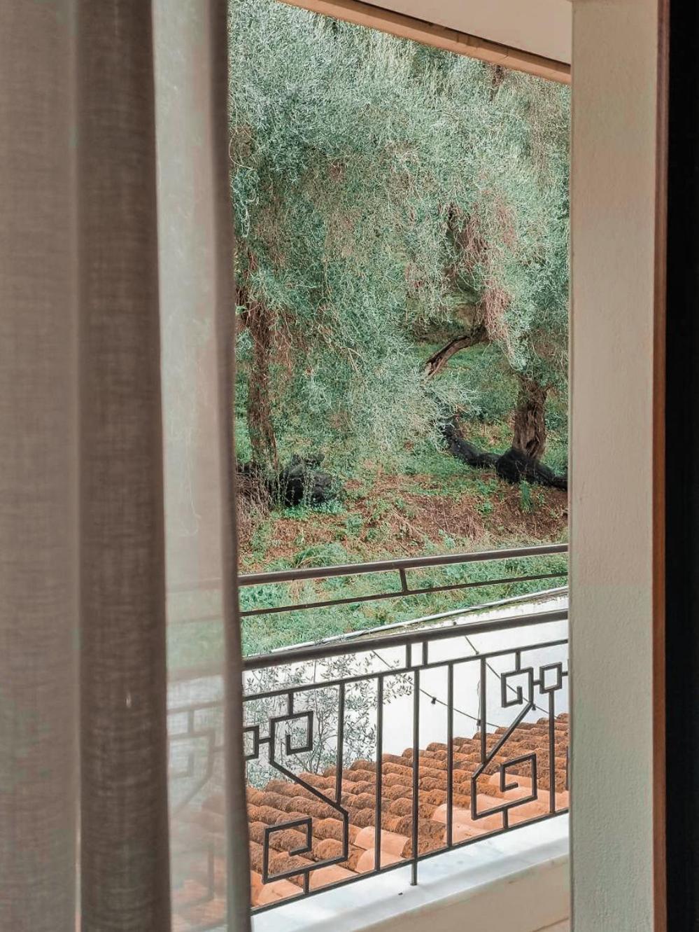 Dracos Hotel Parga Eksteriør billede